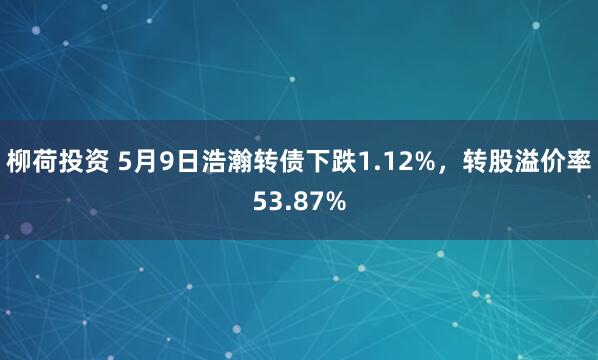 柳荷投资 5月9日浩瀚转债下跌1.12%，转股溢价率53.87%