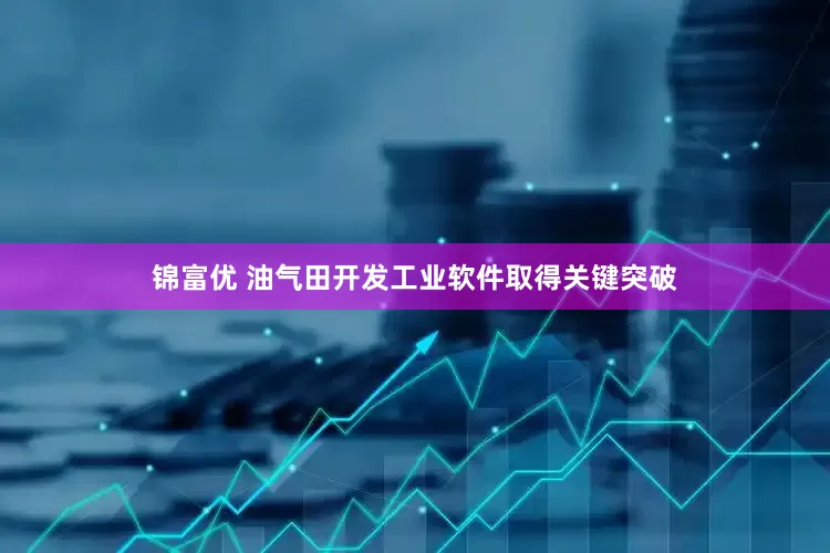 锦富优 油气田开发工业软件取得关键突破
